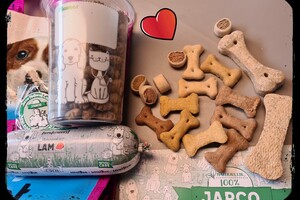 Izzy en Vida: hondenschool