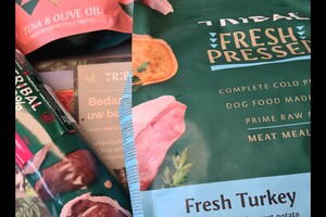 Vida en Bucky: hondenschool