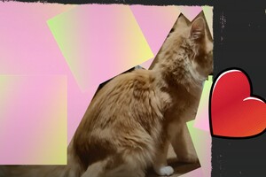 Clémentine 28 maart- 2 mei 2021