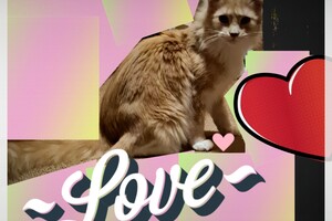 Clémentine 28 maart- 2 mei 2021