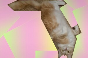 Clémentine 16 mei 2021