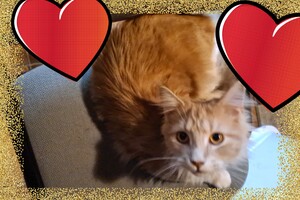 Clémentine 28 maart- 2 mei 2021