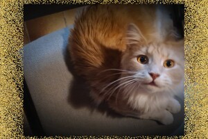 Clémentine 28 maart- 2 mei 2021