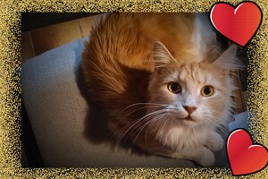 Clémentine 28 maart- 2 mei 2021