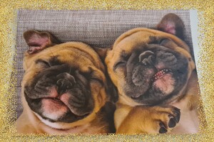 Soran Bart geeft kerst cadeau