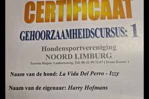 Izzy: Beginners curcus geslaagd