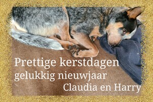 Dakota: prettige kerstdagen