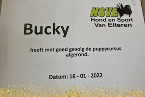 Bucky: agility les