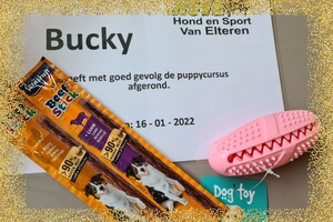 Bucky: agility les