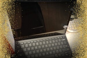 Ondernemer asiel, pension, cattery en kennel