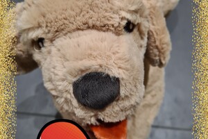 Kynologisch instructeur module B1