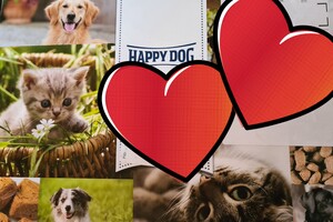 Puppy pakket: Happy dog