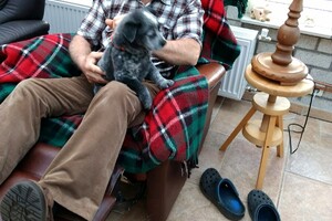 Onze Silver - 8 mei 2022