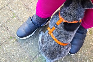 Onze Silver - 8 mei 2022