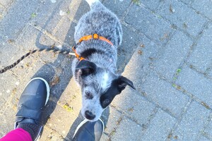 Onze Silver - 8 mei 2022