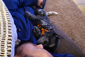 Onze Silver - 8 mei 2022