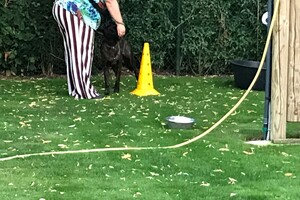 Yada en Bucky: workshop hersenwerk en fitness