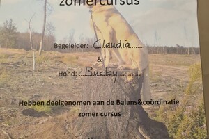 Bucky: hondenschool jaar 2022