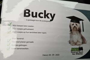 Bucky: ik ben loops