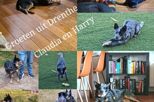 Rasweekend vakantie! 