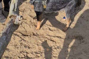 Rasweekend vakantie! Bosfun workshop