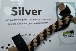 Silver: jonge honden agility 