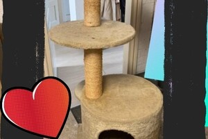 Katten: kerst cadeautje 