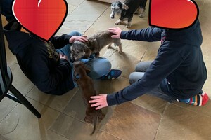 Tante bij de buurjongens 