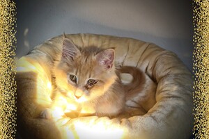 Clémentine 28 maart- 2 mei 2021