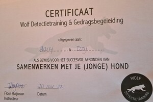 Izzy: examen hondenschool