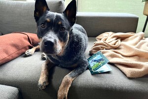 Ellis Coco: Ik ben jarig