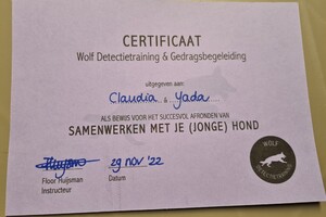 Yada: hondenschool jaar 2022