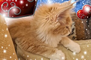 Clémentine 28 maart- 2 mei 2021