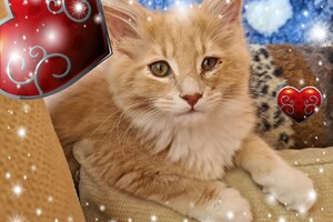 Clémentine 28 maart- 2 mei 2021