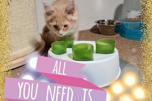 Clémentine 28 maart- 2 mei 2021