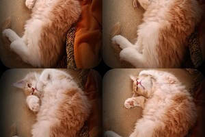 Clémentine 28 maart- 2 mei 2021