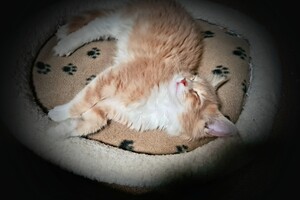 Clémentine 28 maart- 2 mei 2021