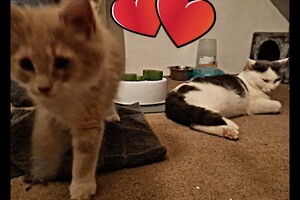 Clémentine 28 maart- 2 mei 2021