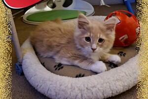 Clémentine 28 maart- 2 mei 2021