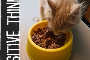 Clémentine 28 maart- 2 mei 2021