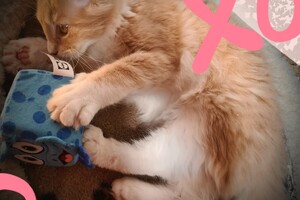 Clémentine 28 maart- 2 mei 2021