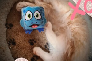 Clémentine 28 maart- 2 mei 2021