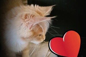 Clémentine 28 maart- 2 mei 2021