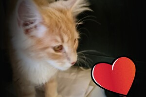 Clémentine 28 maart- 2 mei 2021