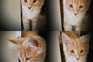 Clémentine 28 maart- 2 mei 2021