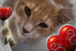 Clémentine 28 maart- 2 mei 2021