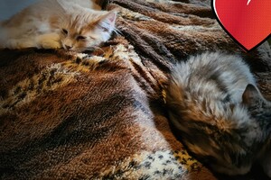 Clémentine 16 mei 2021