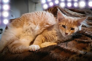 Clémentine 16 mei 2021