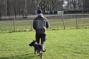 Izzy: Gevorderde curcus