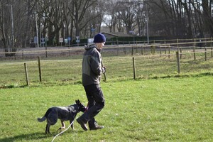 Izzy: Gevorderde curcus